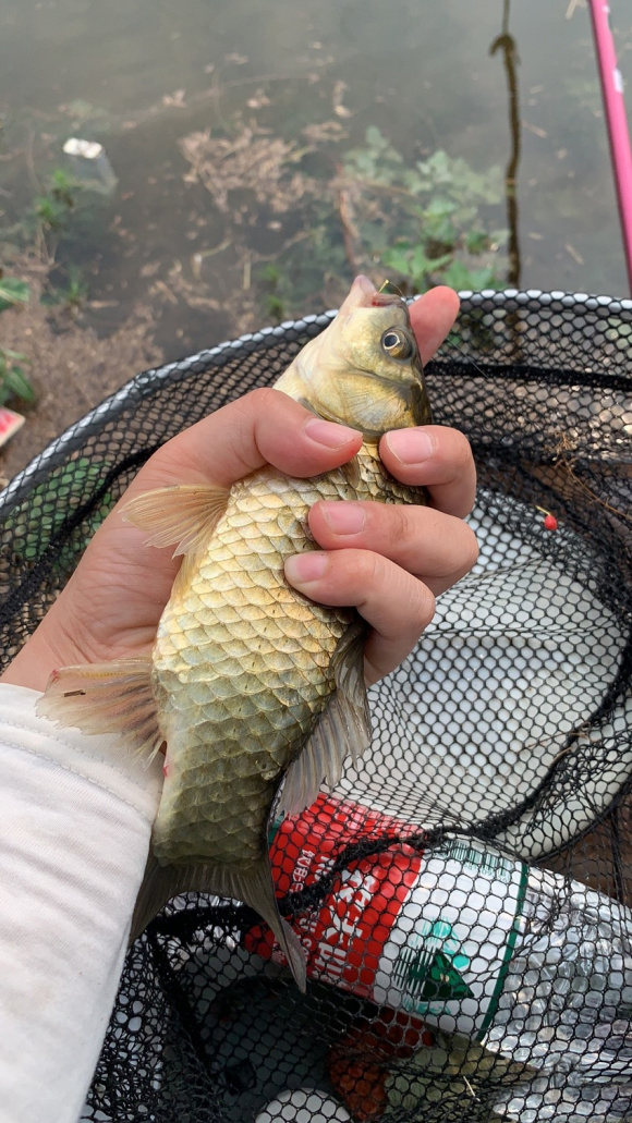 冬天野钓湖库怎样选钓点,冬天池塘钓点的选择方法和技巧