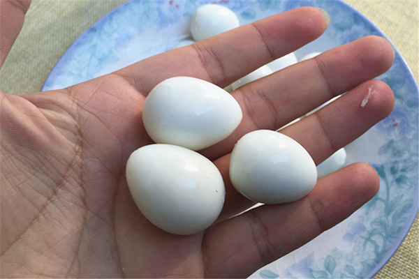 鸽子蛋和鸡蛋的区别在哪里,鸽子蛋和鸡蛋外观怎么区分