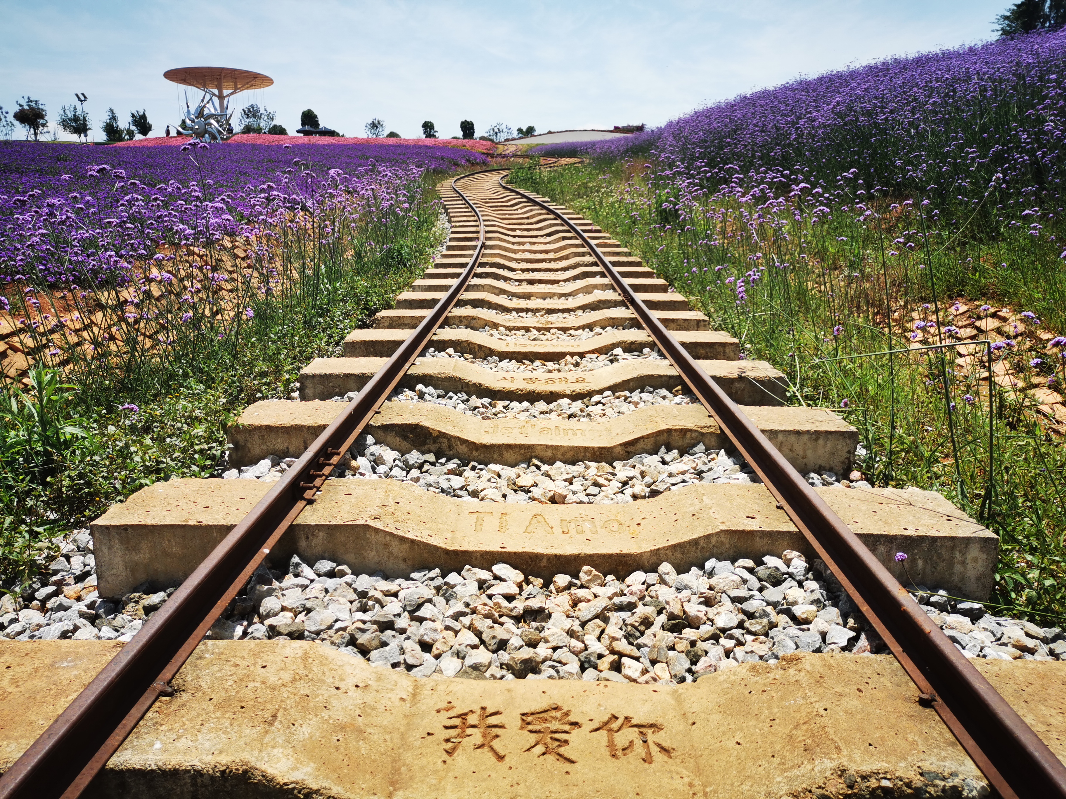 我喜欢你你知道么繁体,我喜欢你你知道吗结局小说