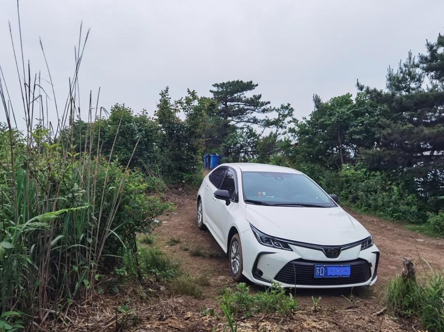 大明山牵牛岗露营,大明山牵牛岗攻略