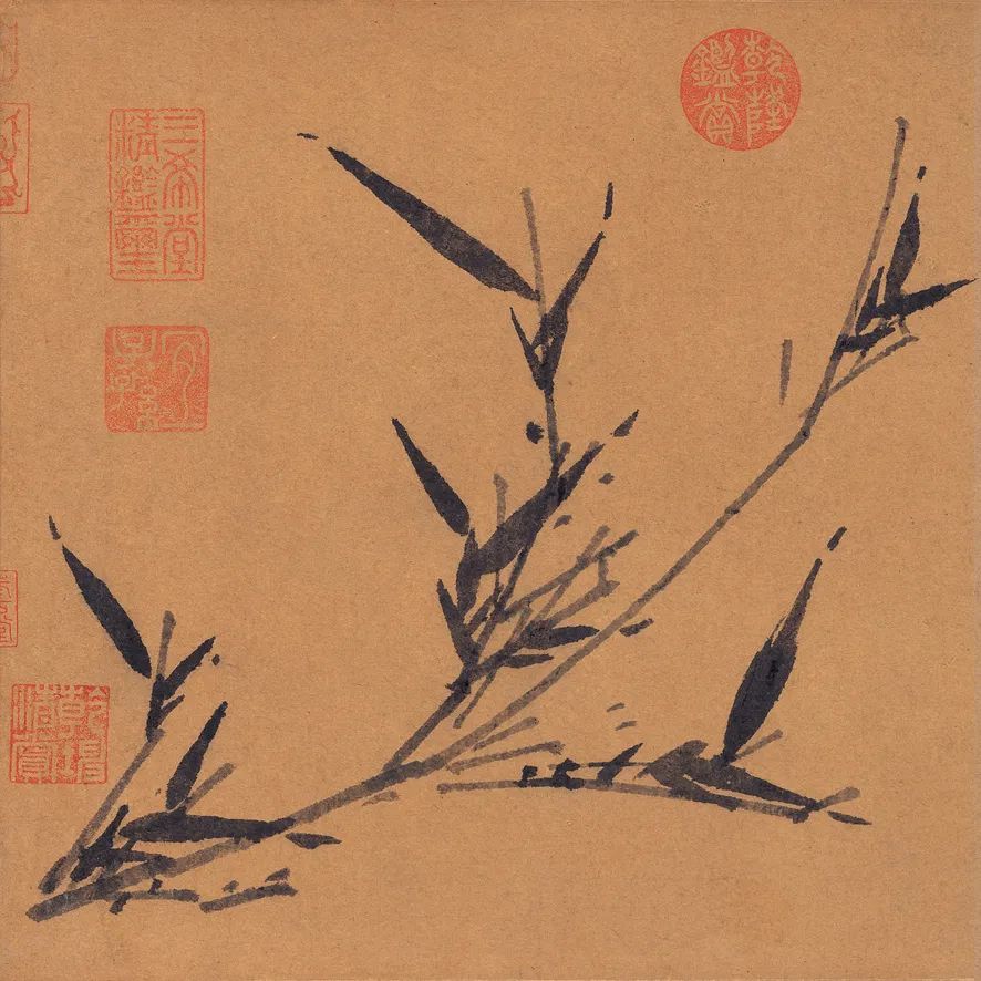 慕容看世界的视频,慕容看世界所有视频