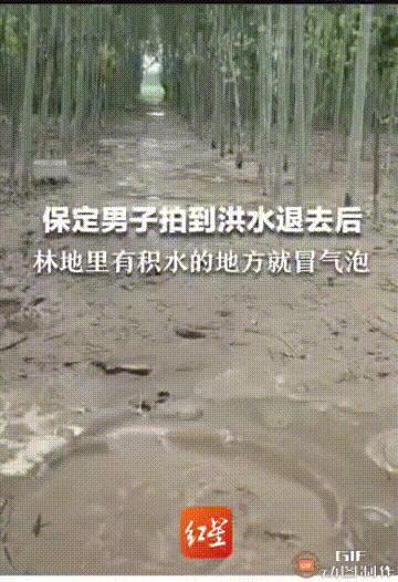 河北暴雨地下冒泡原因,河北地下水冒泡到底什么原因