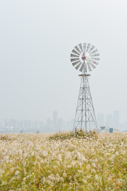 我都已经道歉了你还想怎么样,都道歉了你还要我怎样