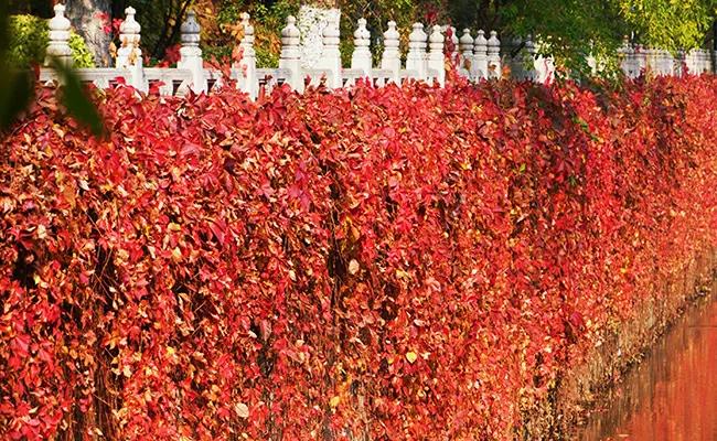 清华大学计算机科学与技术系好吗,清华大学计算机科学与技术系就业