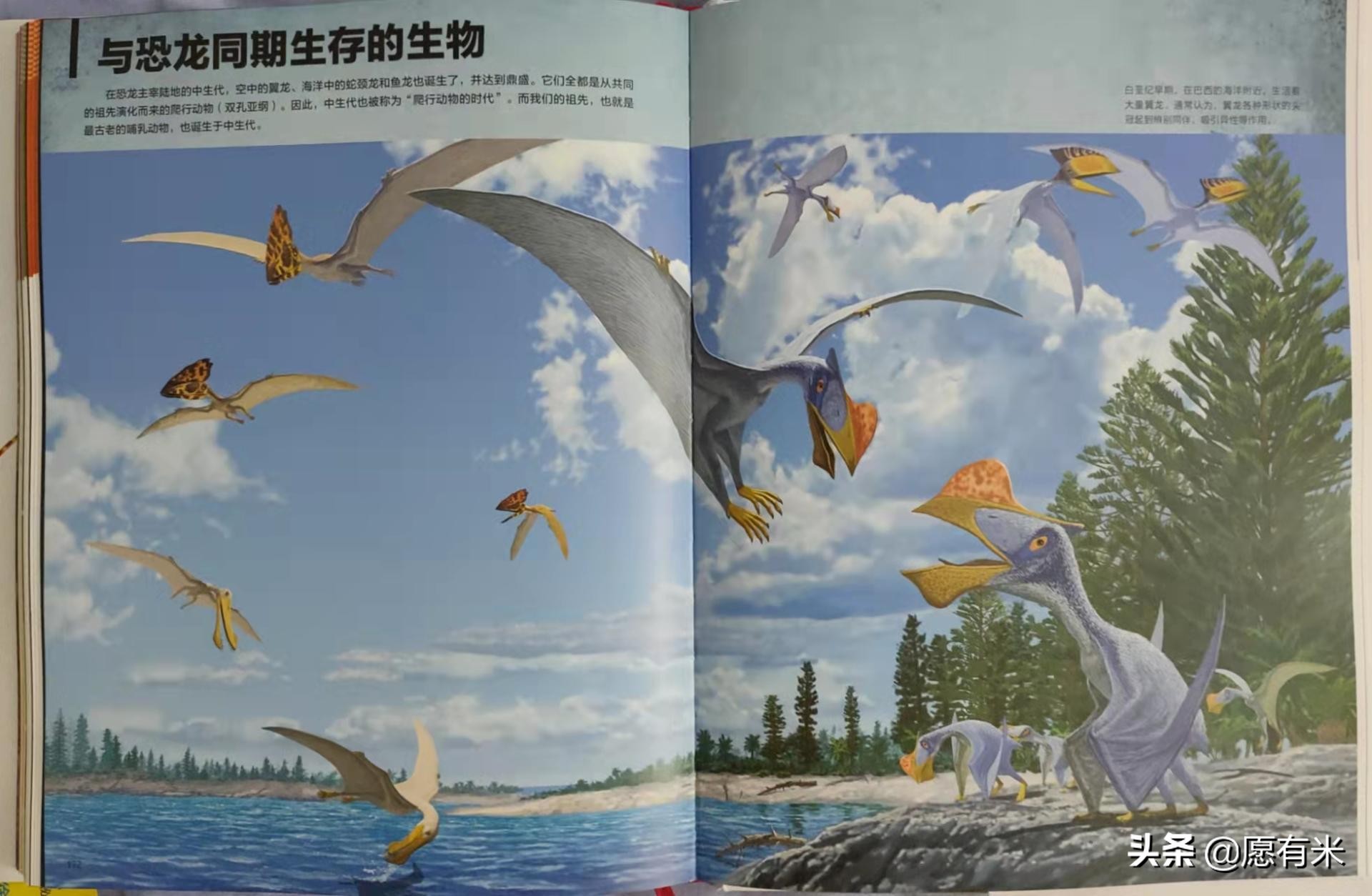 恐龙大百科之各种各样恐龙,恐龙世界最强大的恐龙的图片