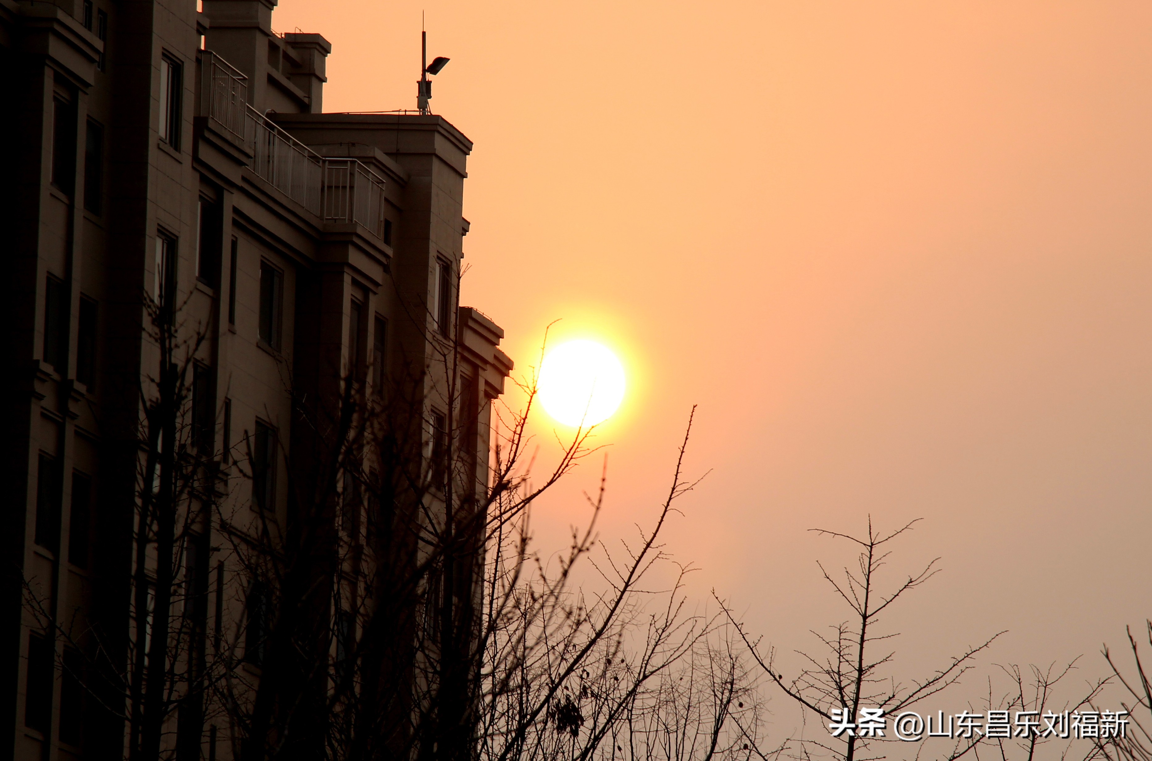 2023年3月中旬散拍·一点儿感受