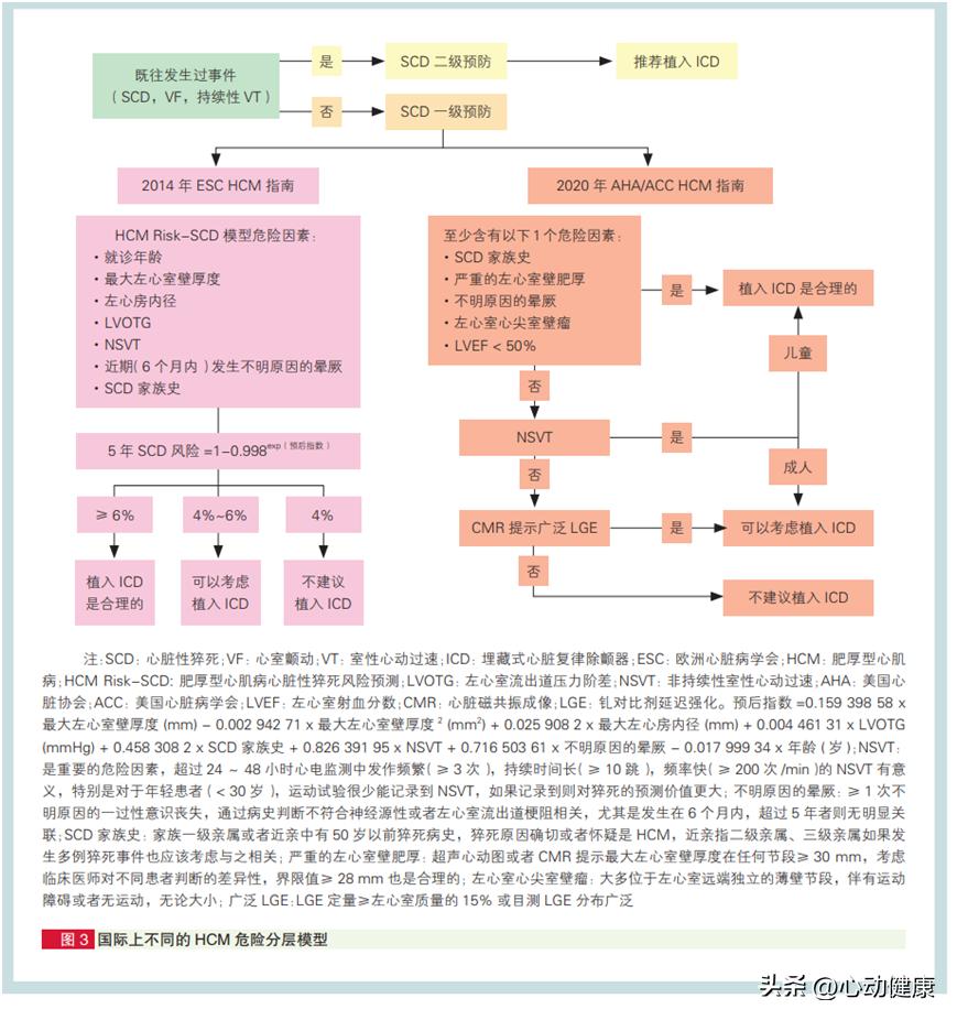 心肌淀粉样变和肥厚型心肌病鉴别,肥厚型心肌病的诊断
