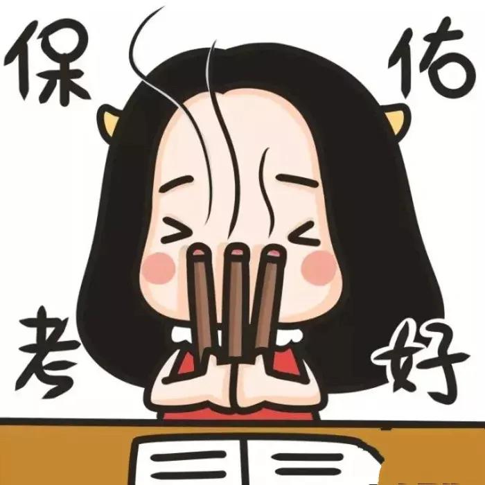 国考铁路公安招录的补充条件,考选调生和进入公安哪个好