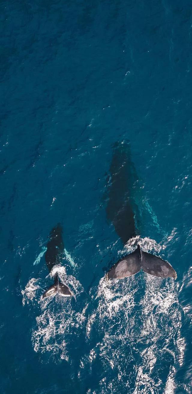 美丽的碧海蓝天壁纸,2018蓝色大海夏天壁纸