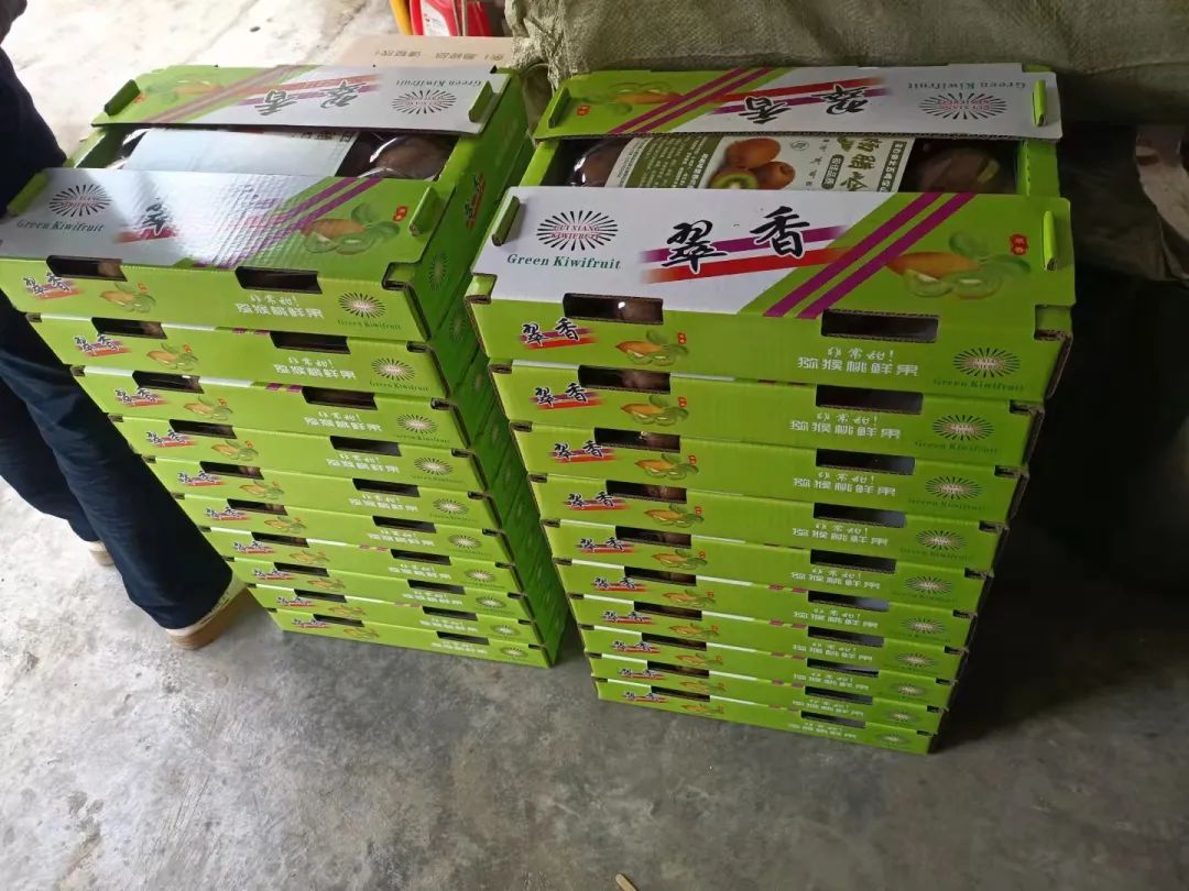 五峰：【乡村振兴】“猕”生情缘，家门口的致富经！