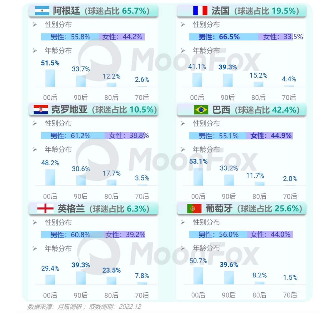 数据解读世界杯,卡塔尔世界杯大数据可视化