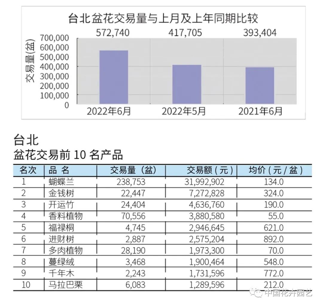 年宵盆花市场价,盆花市场现状怎么样