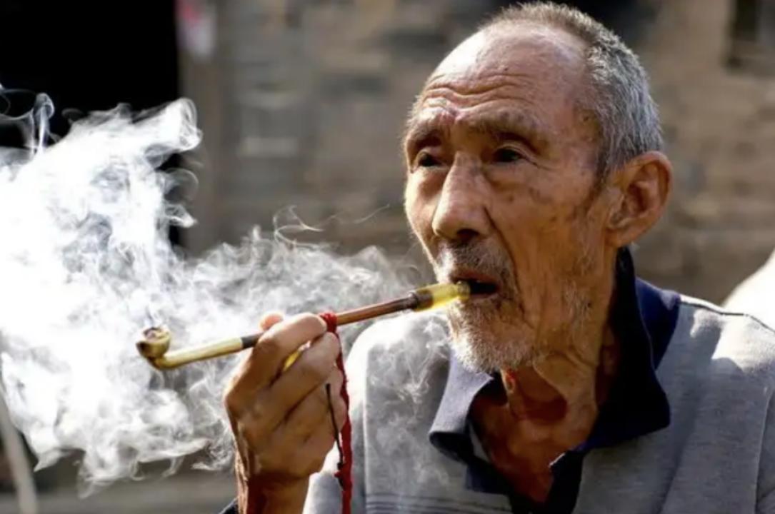 日本收购烟头有什么秘密,日本高价收购我国烟头