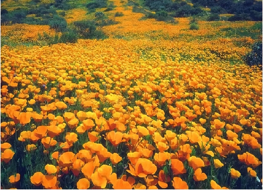 休闲农业和乡村旅游线路图,休闲农业旅游线路推荐