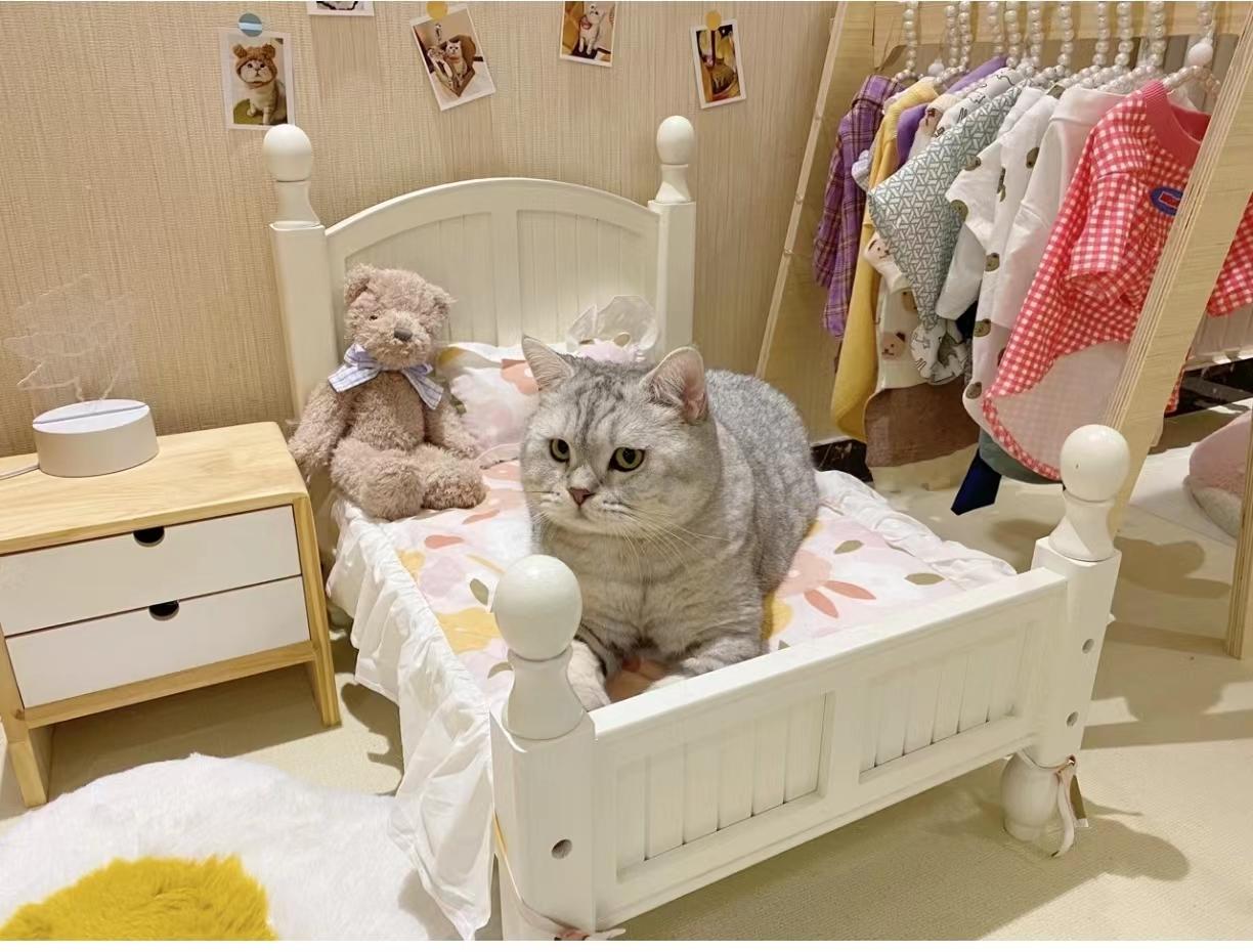 淄博烧烤火出圈的机会分析,淄博烧烤是口红效应吗