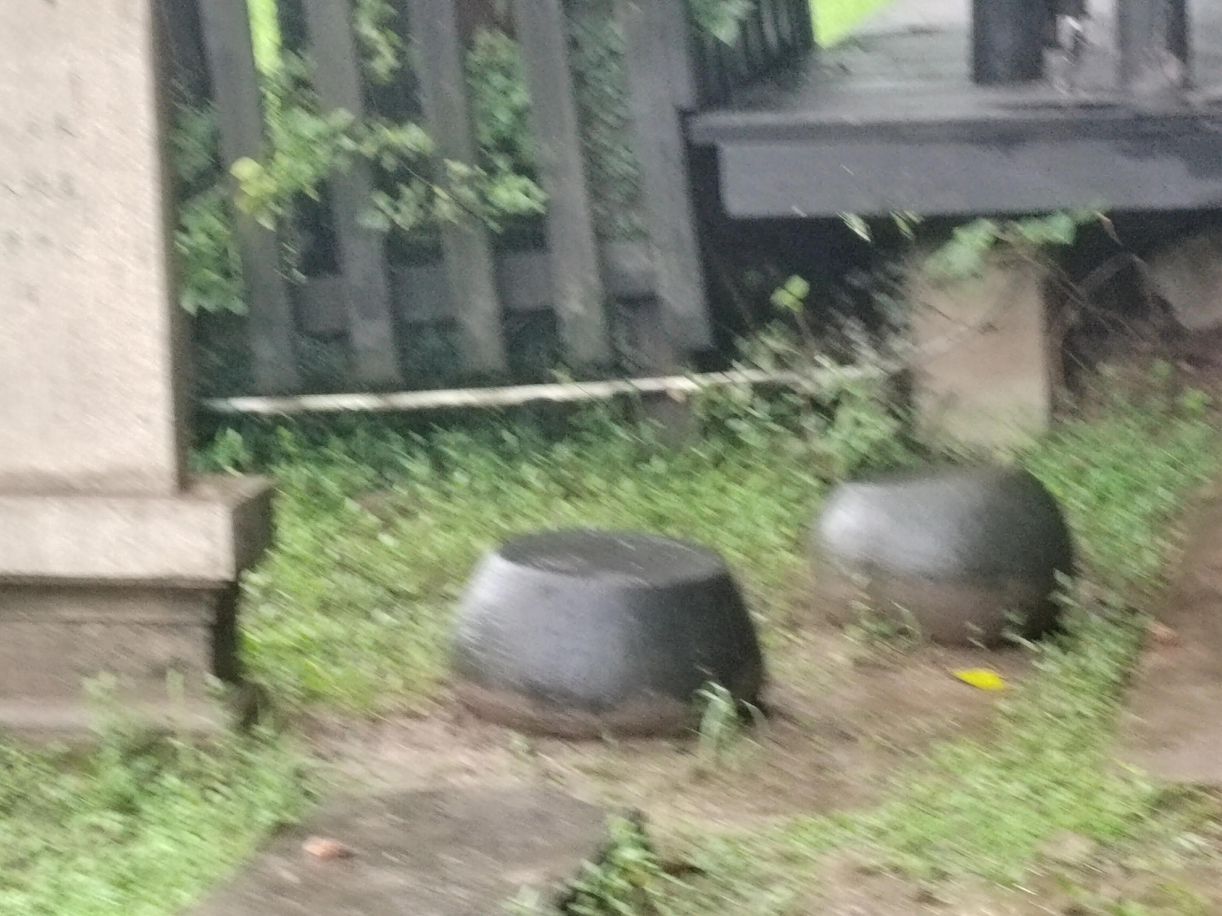 淹城是哪个省市,淹城动物园旅游攻略