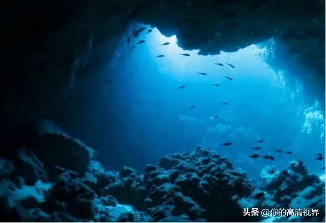 海底到底有多深带你进入10000米,海洋到底有多深海底藏着什么