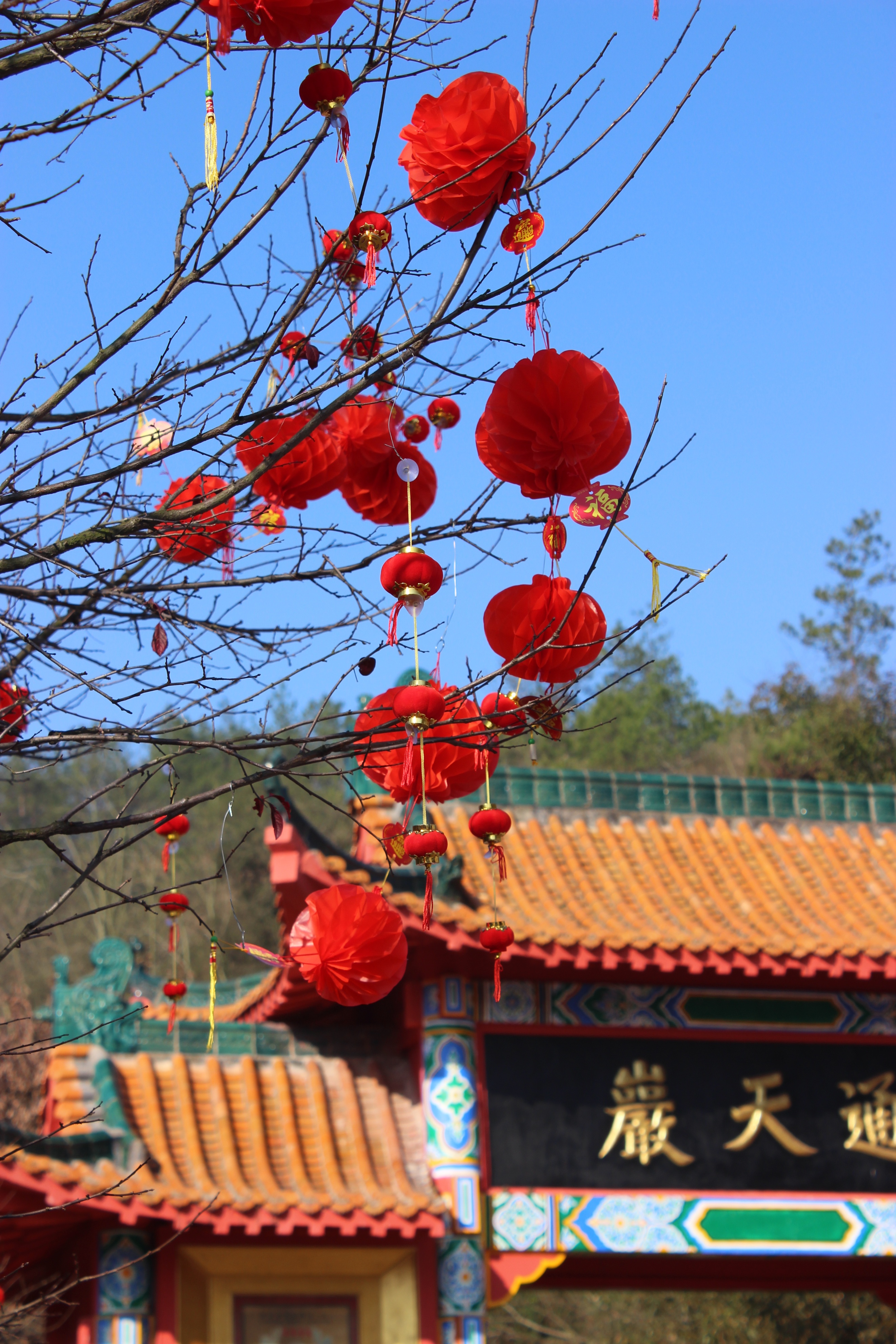 赣州周末出游攻略,春节赣州出发2-3天短途旅游