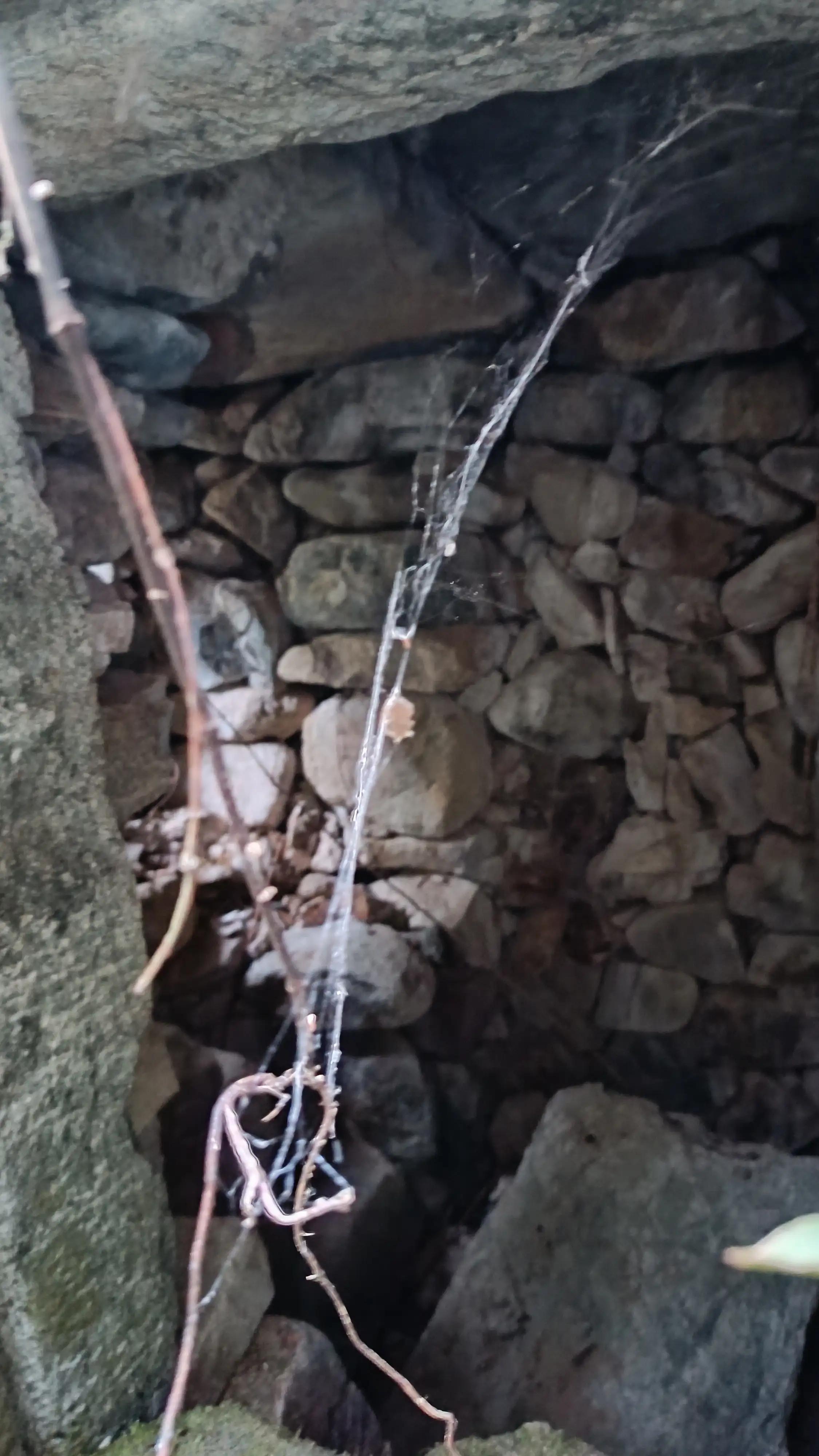 安徽黄山歙县韶坑村,歙县韶坑村民宿照片