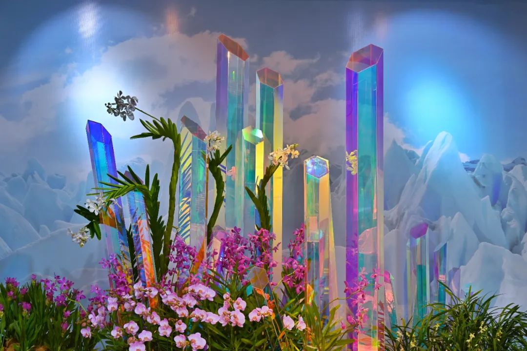 厦门花海景点最新,厦门最近的花海