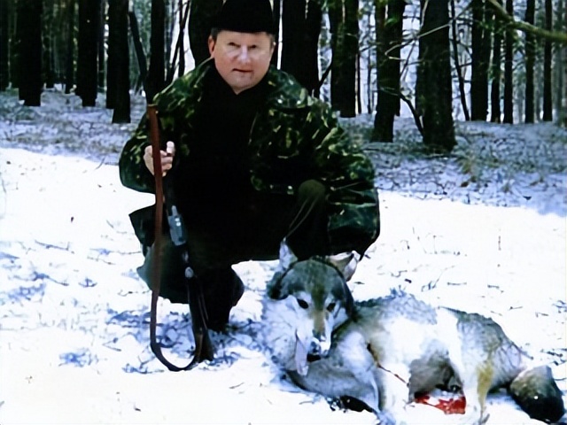 季莫申科时尚,季莫申科惊艳高清图片视频