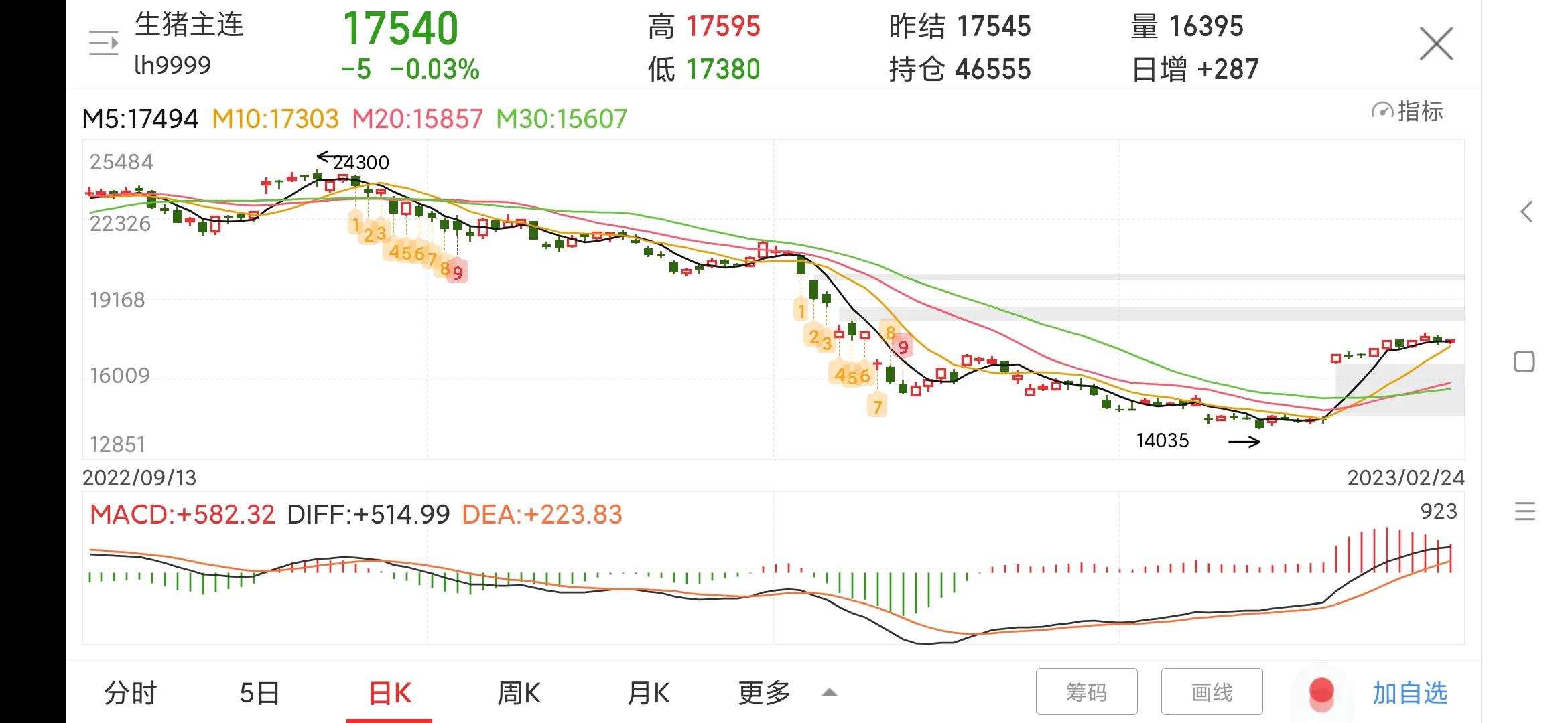 每日一股600703股吧,00876新希望股票走势图