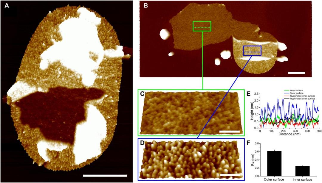 山东大学学术研究部,山东大学的学术成就