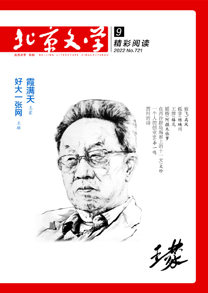 好大一张网——中国铁路12306客服网探秘（报告文学）/王雄