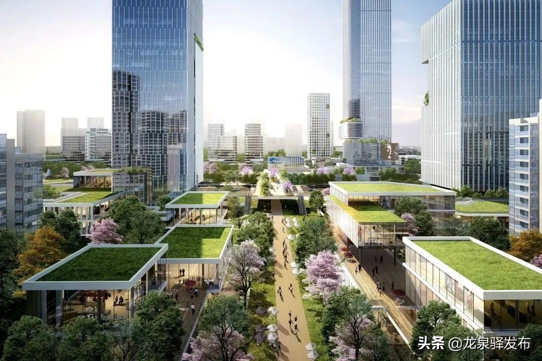 区城管局全力攻坚助力创城,贯彻新发展理念的公园城市示范区