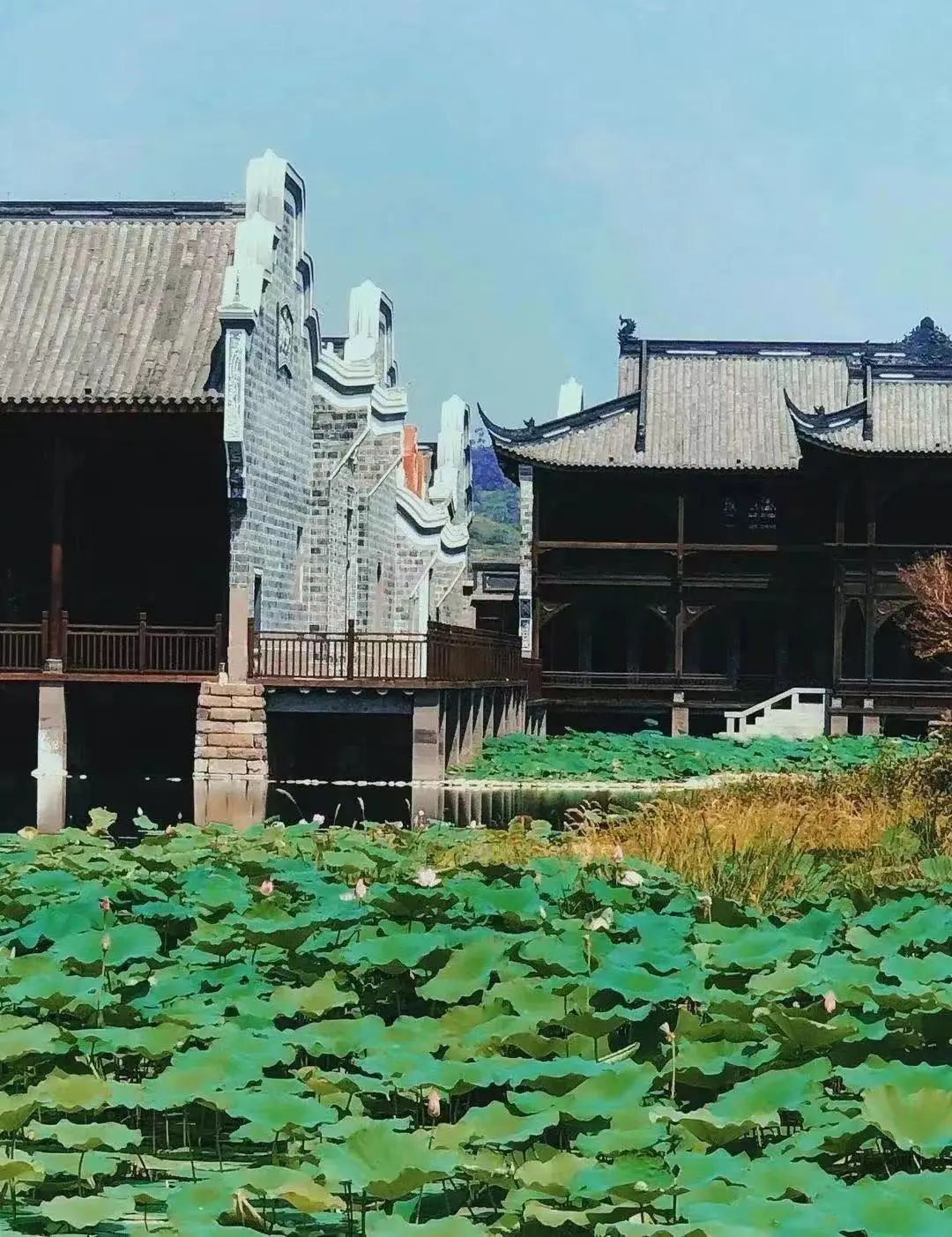 清明节逛李庄古镇,云逛自然博物馆