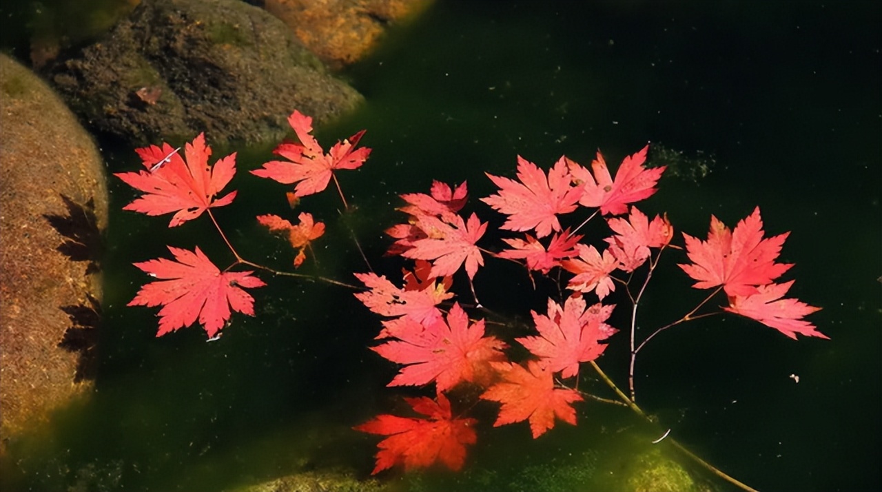 关于生活的10个真相，赶走你所有矫情