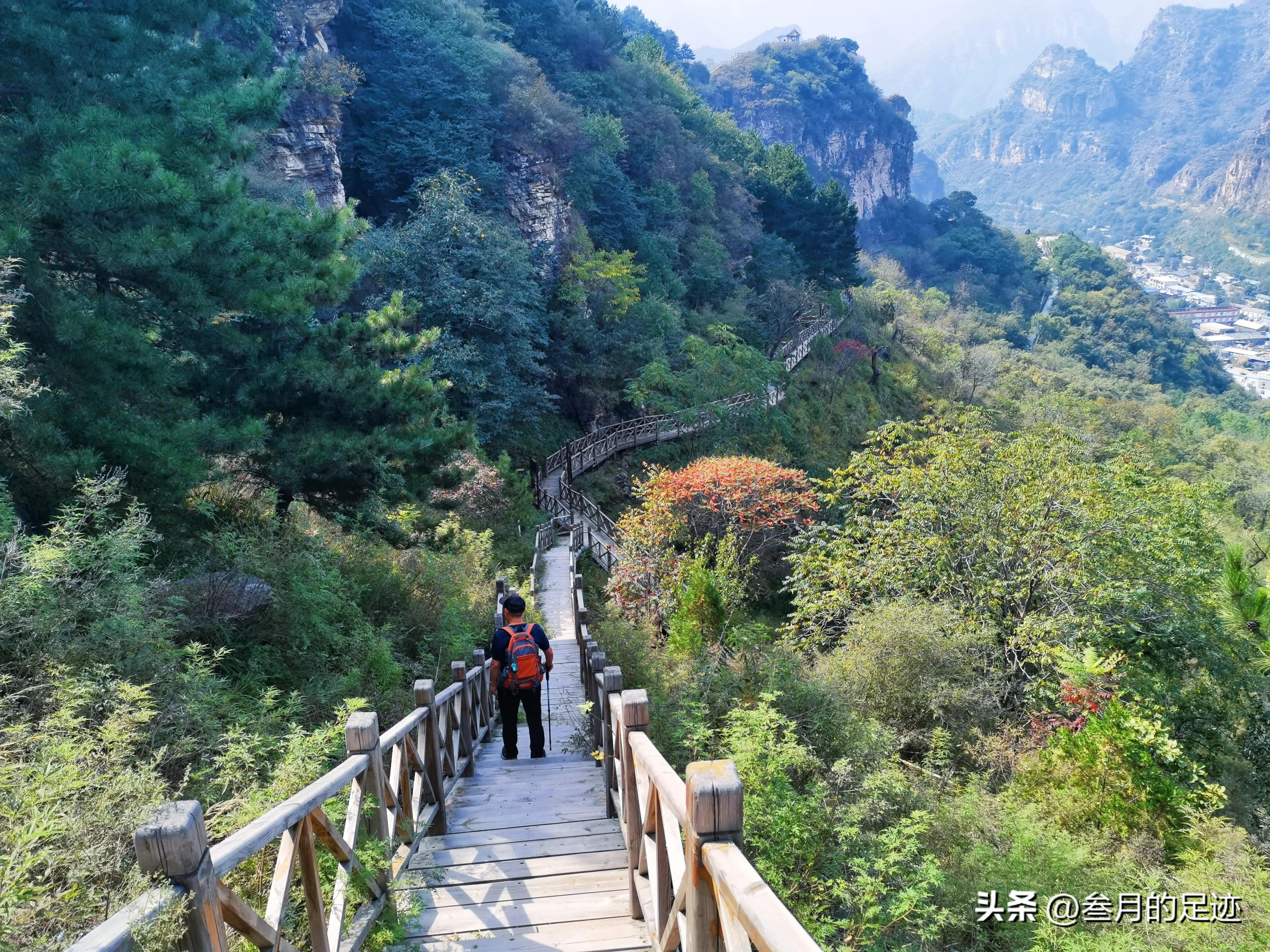 房山红叶最佳地点木栈道,北京房山森林游玩地方推荐