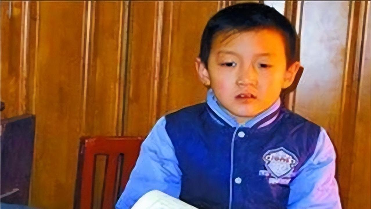 河南8岁男孩被招进特种部队,河南一神童八岁成为特种兵