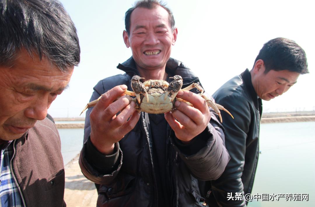 坚持做好产品质量的决心,坚持做良心产品