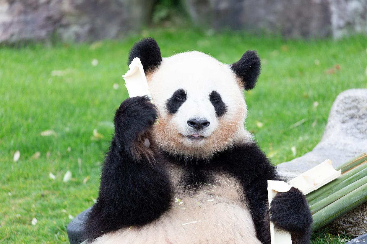 中国十大自驾胜地,中国十大露营旅游地点推荐