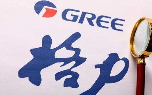 格力企业财务风险分析与防范论文,格力财务管理制度分析