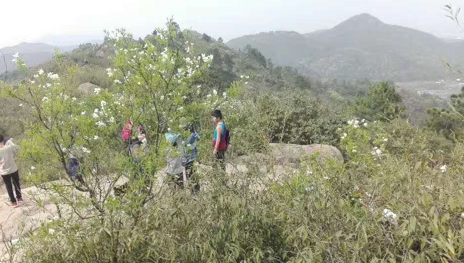 爱旅经常组织的市内登山路线，传说健康的人都去了这里......