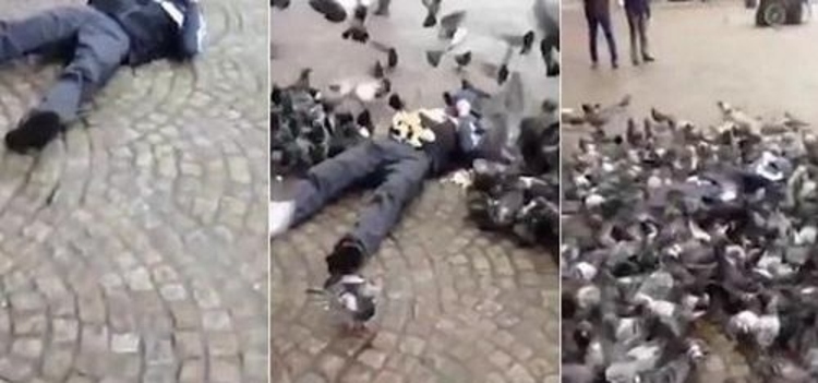 通背拳鸽武缘拿过什么冠军,鸽武缘vs赵文卓的通背拳