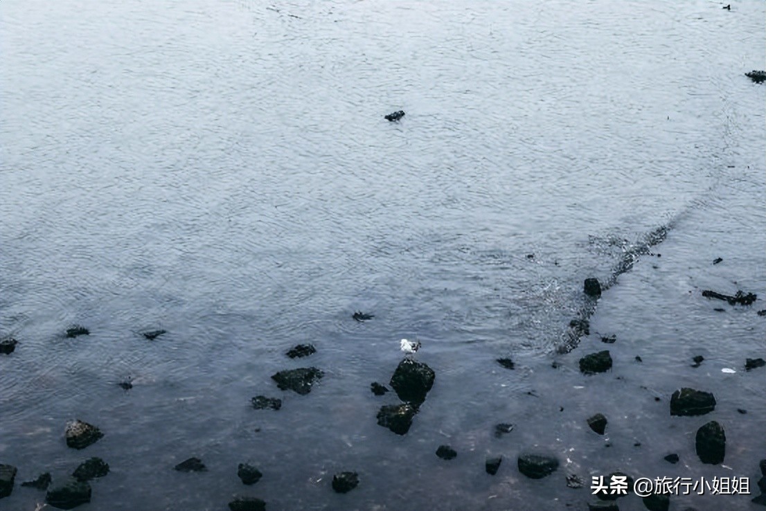 夏日海边微醺氛围感,滨城风光秀丽浪漫气息爆表