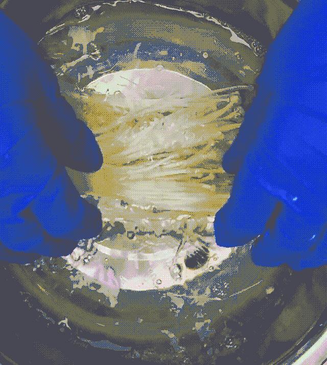 五年前的“甲醛*局骗**”重现江湖，花爸做实验辟谣