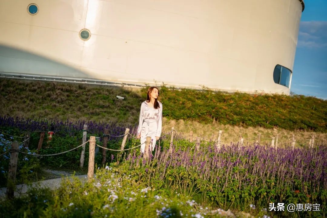 上海公园免费,上海免费公园排行