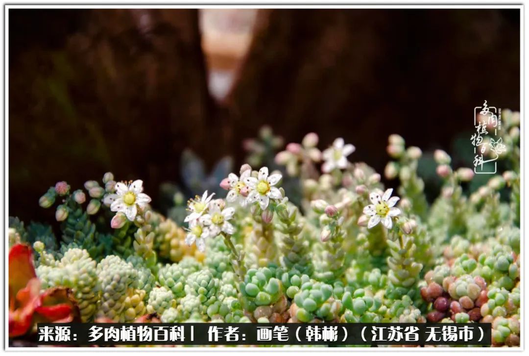 每个人的身旁都要有太阳,每个人都有一颗太阳