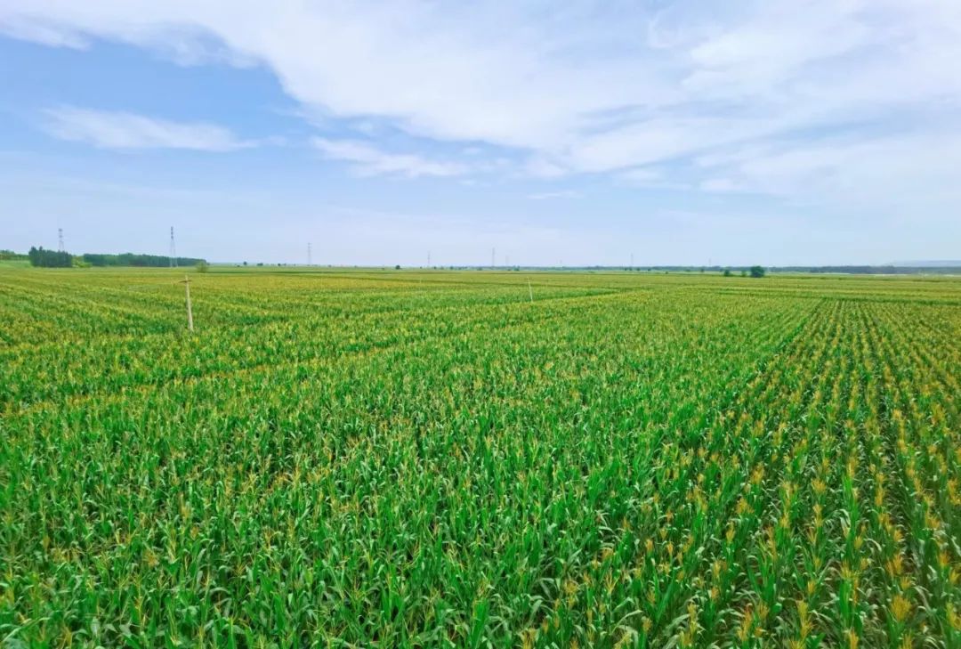 解析全国16个整村运营,解码全国16个整村运营经典案例