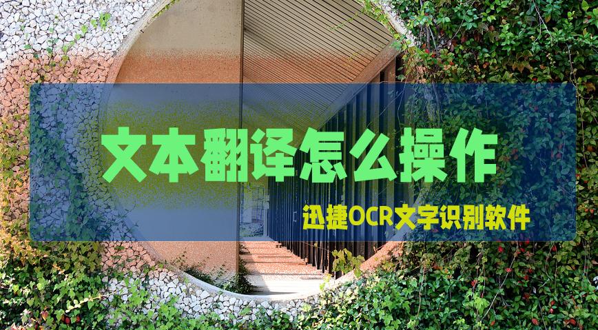 文本翻译怎么设置,文本翻译怎么用