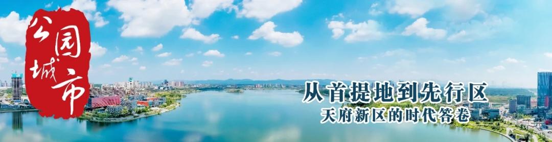 成都“三湖”鼎立，谁赢了