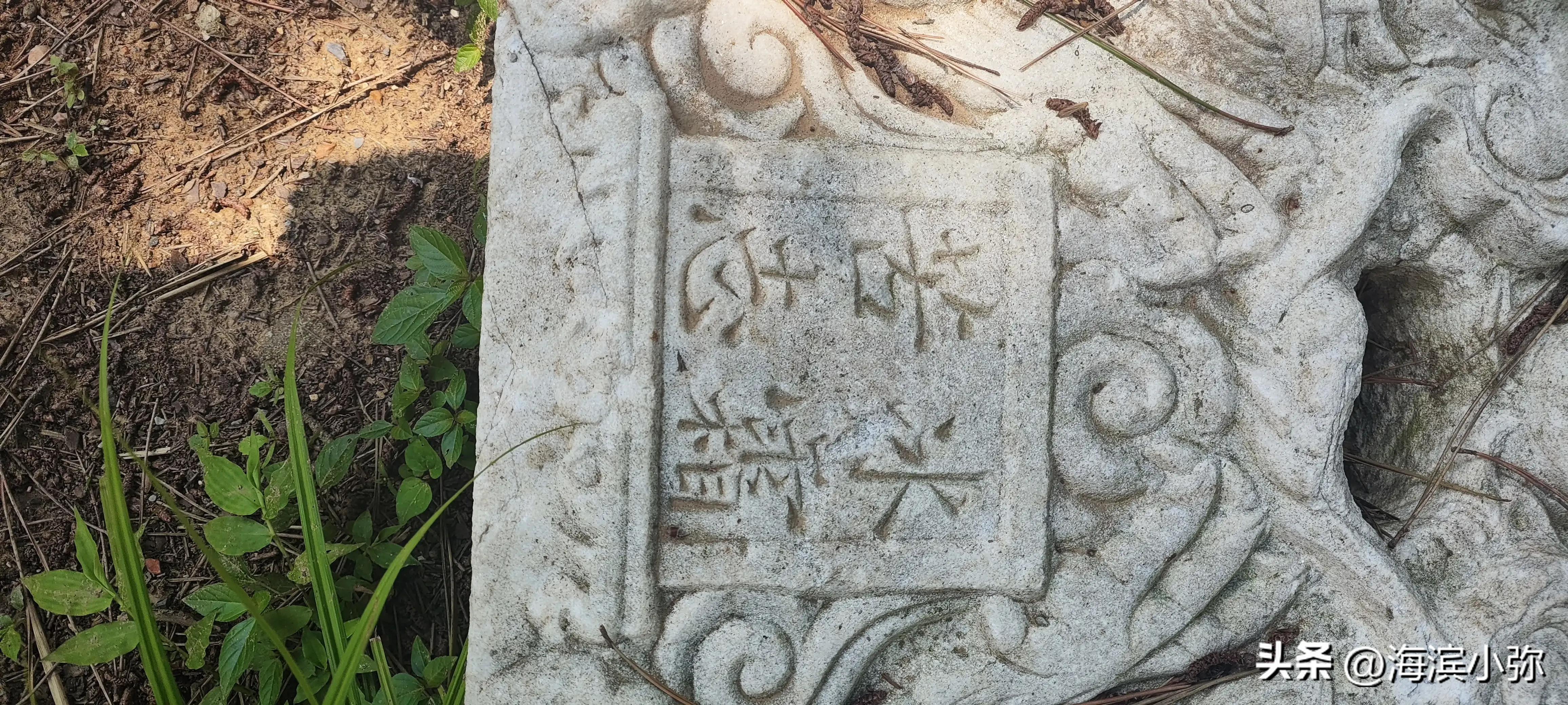 亲身徒步探访东海公园滨海路全纪录（二）