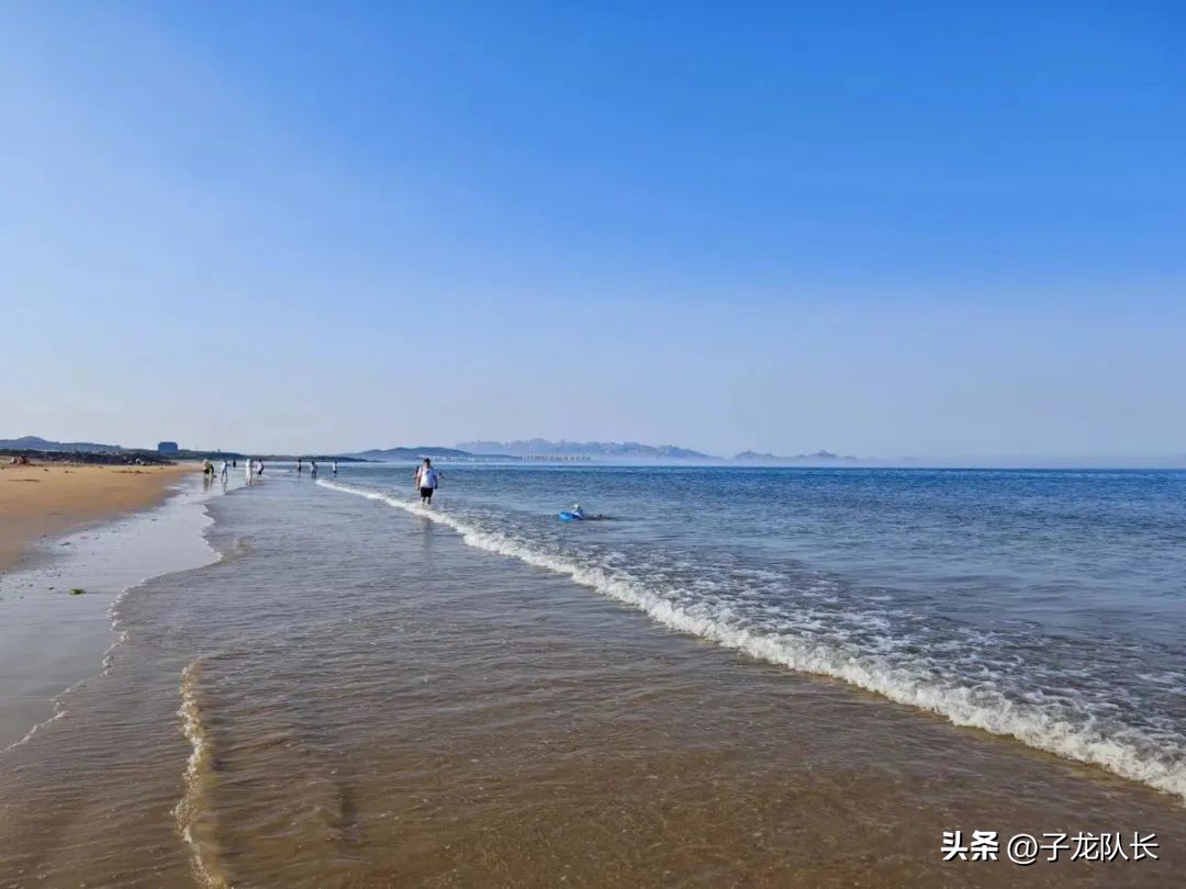 威海到青岛之间哪个地方赶海最好,青岛海边哪个海滩最好玩适合赶海
