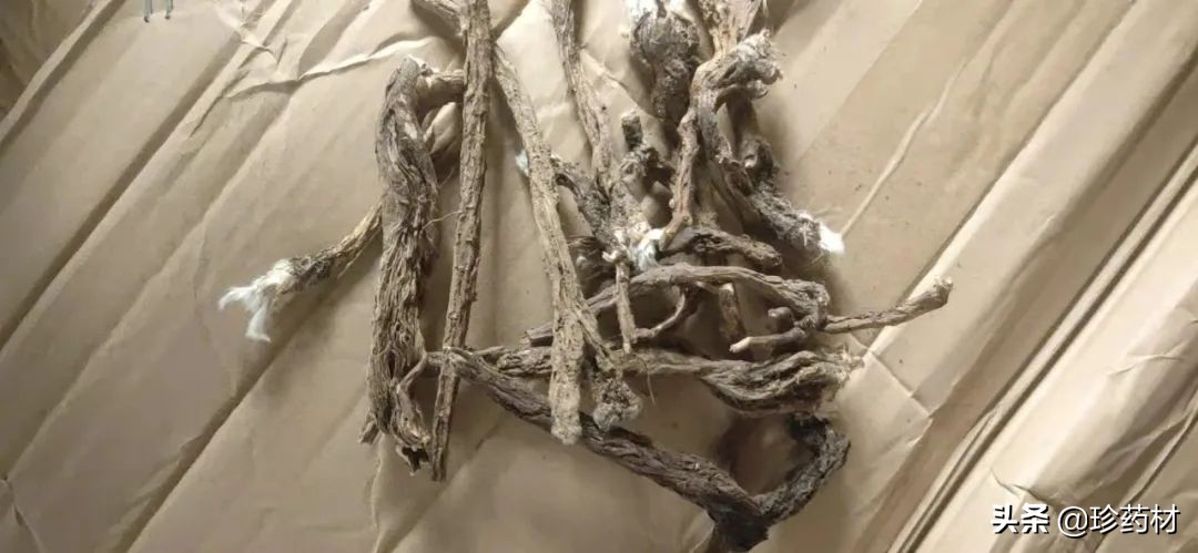 12月27日中药材市场快讯：连翘、柴胡、山楂、僵蚕、板蓝根、菊花