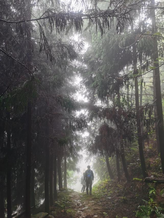 北碚三圣龙王村,重庆北碚山水龙王村