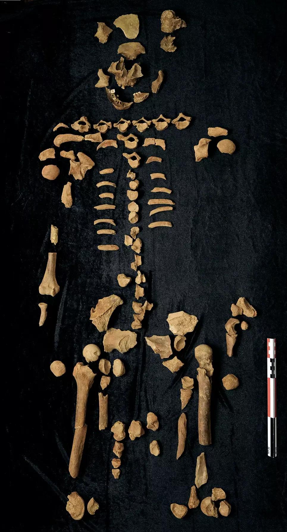 二里头真的是夏都吗,二里头既是夏都又是商都